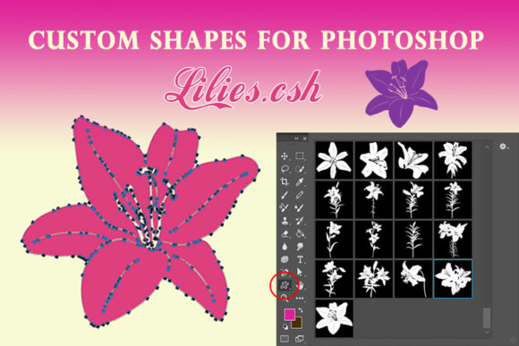 Flowers Lily Custom Shapes for Photoshop: Streamlining Floral Design Workflows